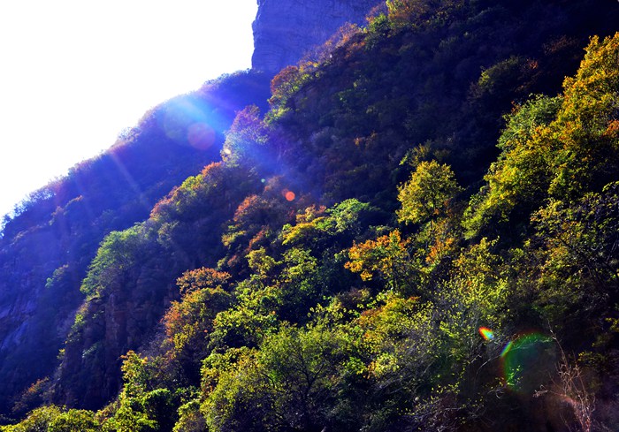 2015新乡旅游产品采购座谈会在南太行召开