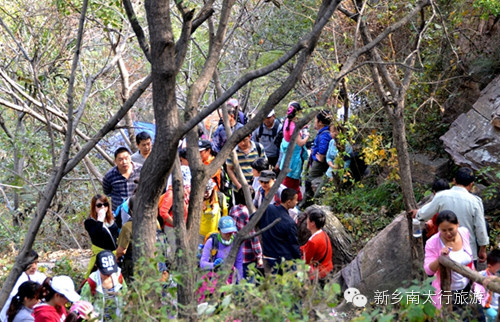 南太行红了，关山火了！