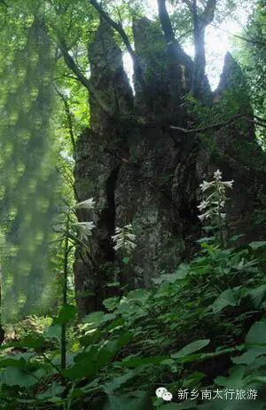 花影秋眼里的关山