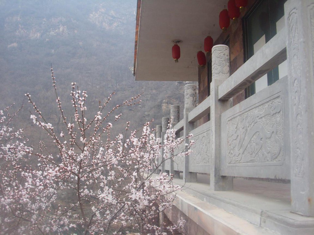 新乡南太行‖八里沟春之韵