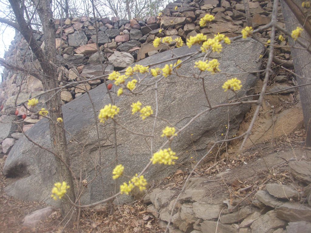 新乡南太行‖八里沟春之韵