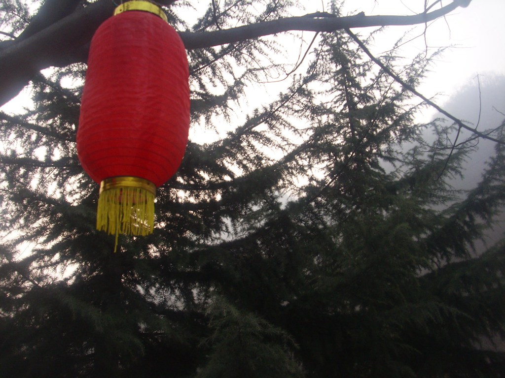 新乡南太行‖八里沟春之韵