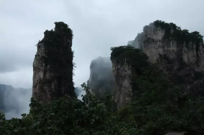 莺飞草长三月天，连翘花开满关山