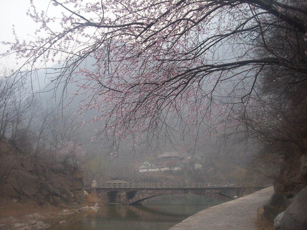 新乡南太行‖八里沟春之韵