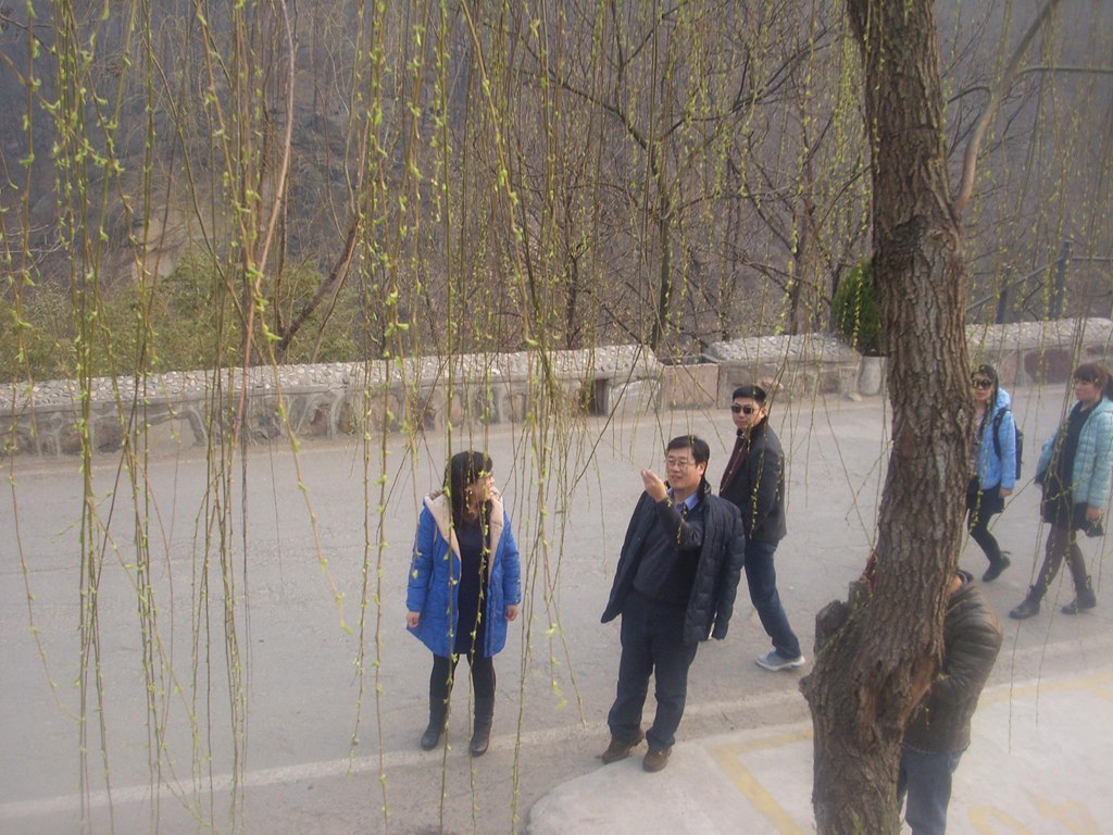 新乡南太行‖八里沟春之韵