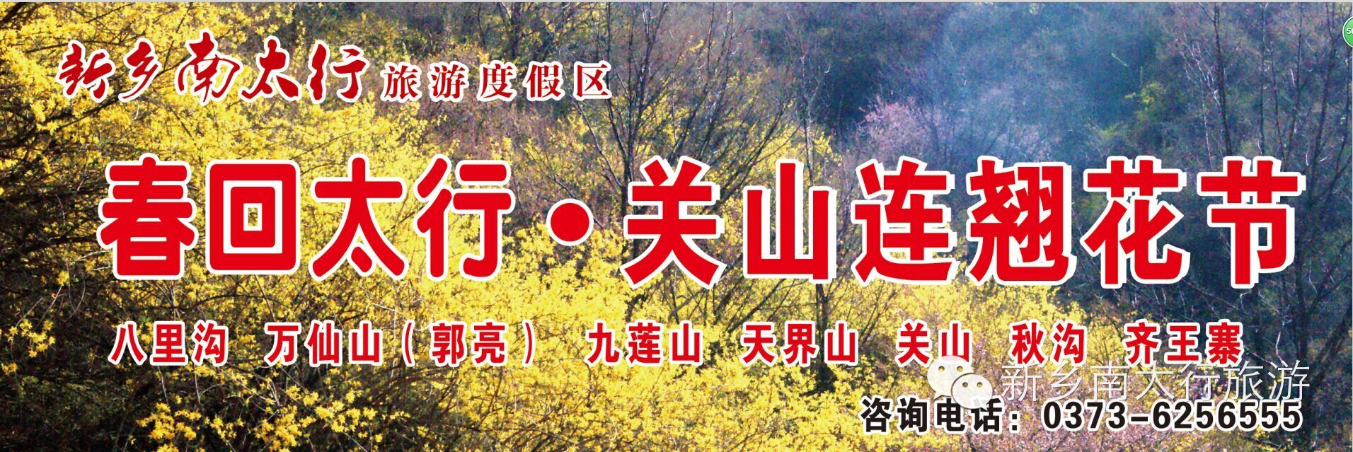 莺飞草长三月天，连翘花开满关山