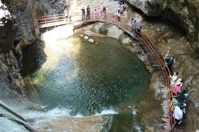 莺飞草长三月天，连翘花开满关山