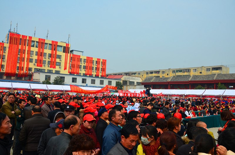 2015年百泉药交会暨第四届南太行旅游文化节盛大开幕