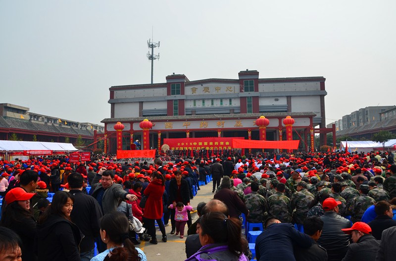 2015年百泉药交会暨第四届南太行旅游文化节盛大开幕