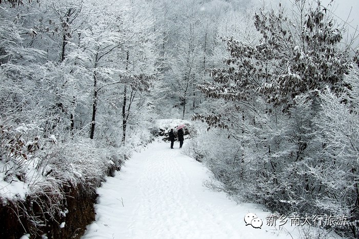 一样的滑雪，不一样的感受!