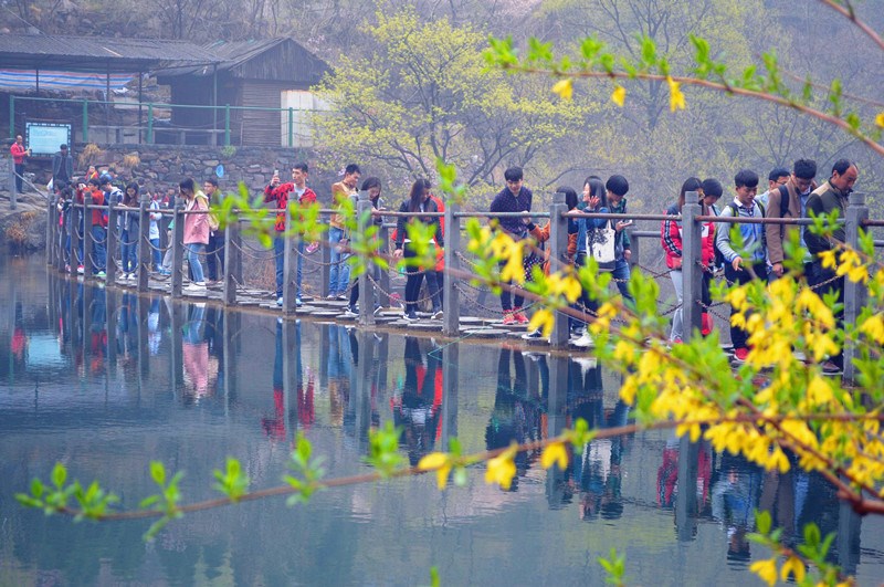 强强联合 八里沟景区迎来“王守义”十三香千人大巴团