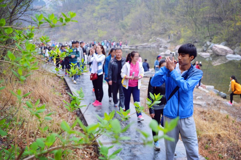 强强联合 八里沟景区迎来“王守义”十三香千人大巴团