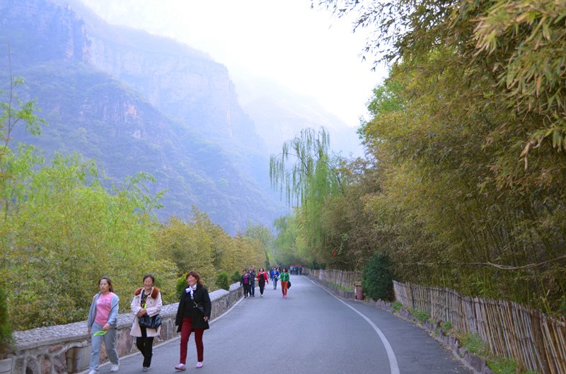 强强联合 八里沟景区迎来“王守义”十三香千人大巴团