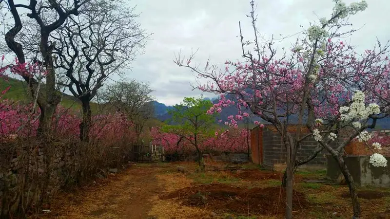 雨中南太行  万种风情千种媚