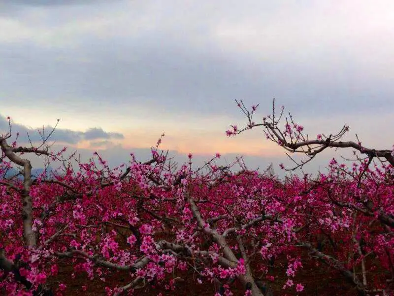 雨中南太行  万种风情千种媚