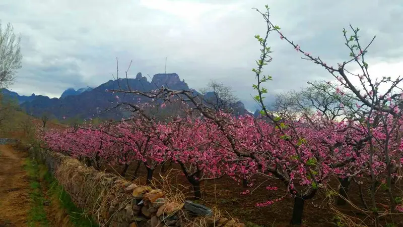 雨中南太行  万种风情千种媚