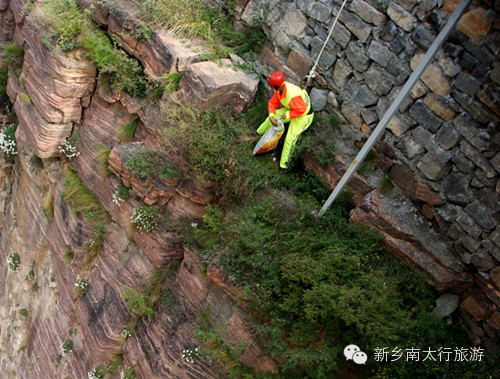 南太行蜘蛛侠喜上央视荧屏