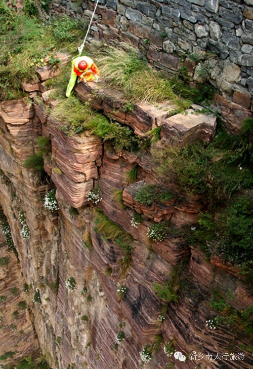 南太行蜘蛛侠喜上央视荧屏