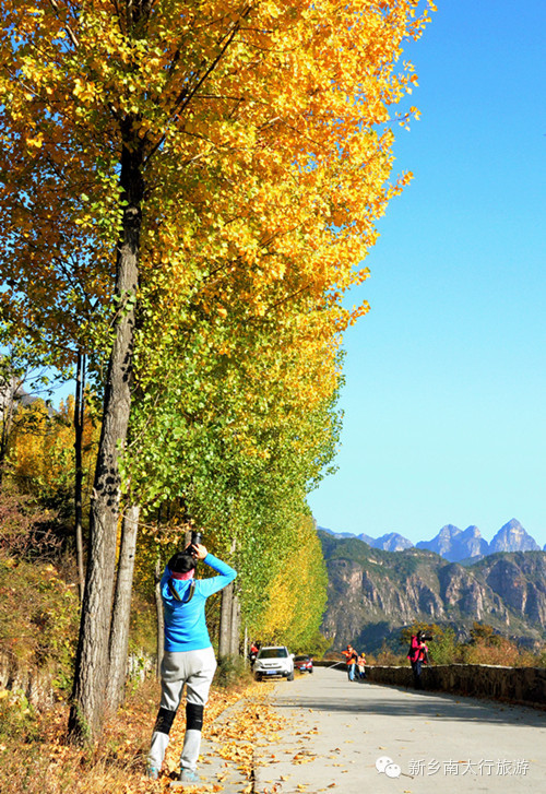 喜事接二连三，贵宾纷至沓来，南太行11月初又将迎来北京、武汉专列