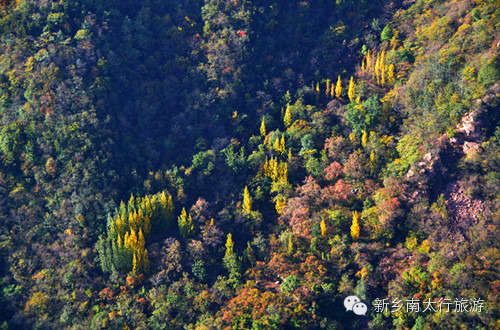 喜事接二连三，贵宾纷至沓来，南太行11月初又将迎来北京、武汉专列
