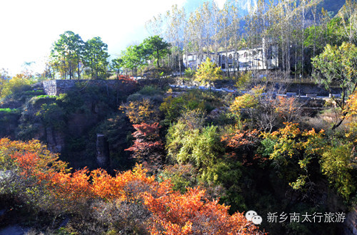 秋水伊人南太行