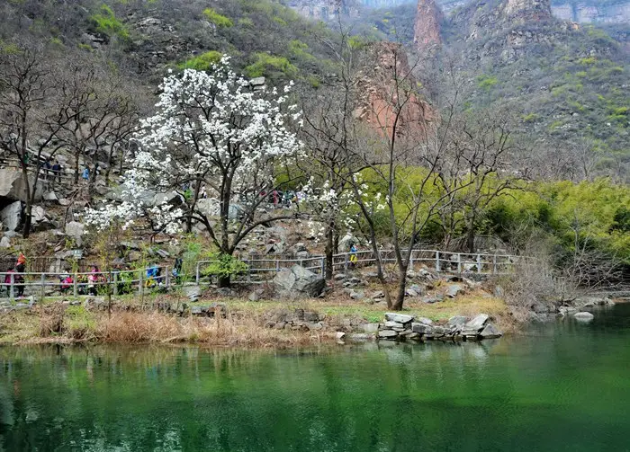 山水画廊盘古河