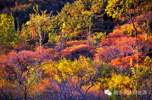 寻找《美丽乡村》摄制组走进新乡南太行
