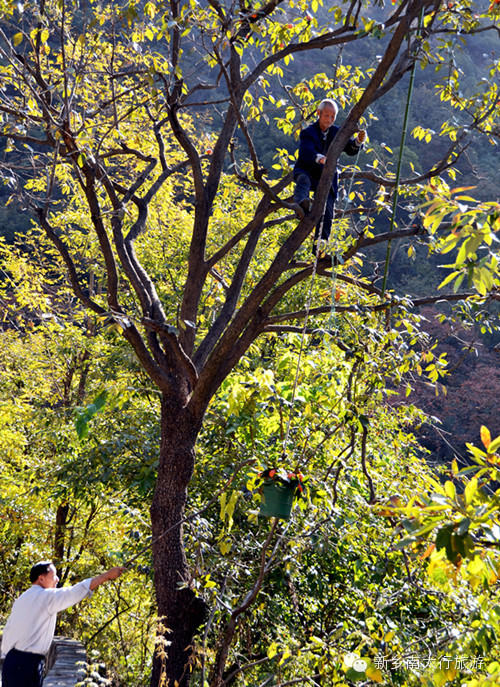 寻找《美丽乡村》摄制组走进新乡南太行