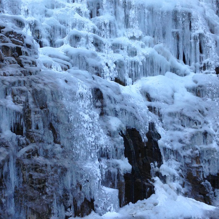 因为有你，这个冬天不寂寞！