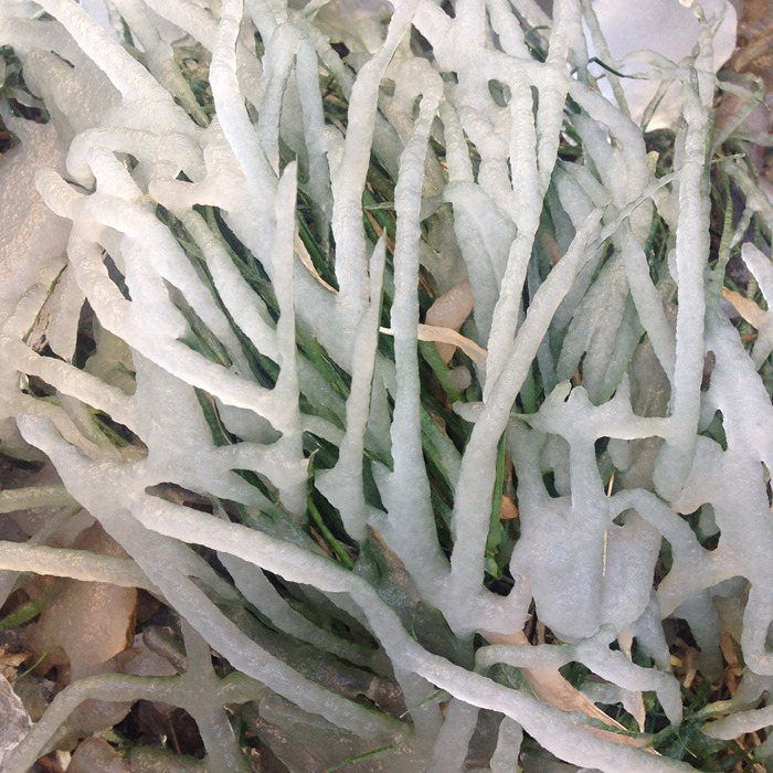 因为有你，这个冬天不寂寞！