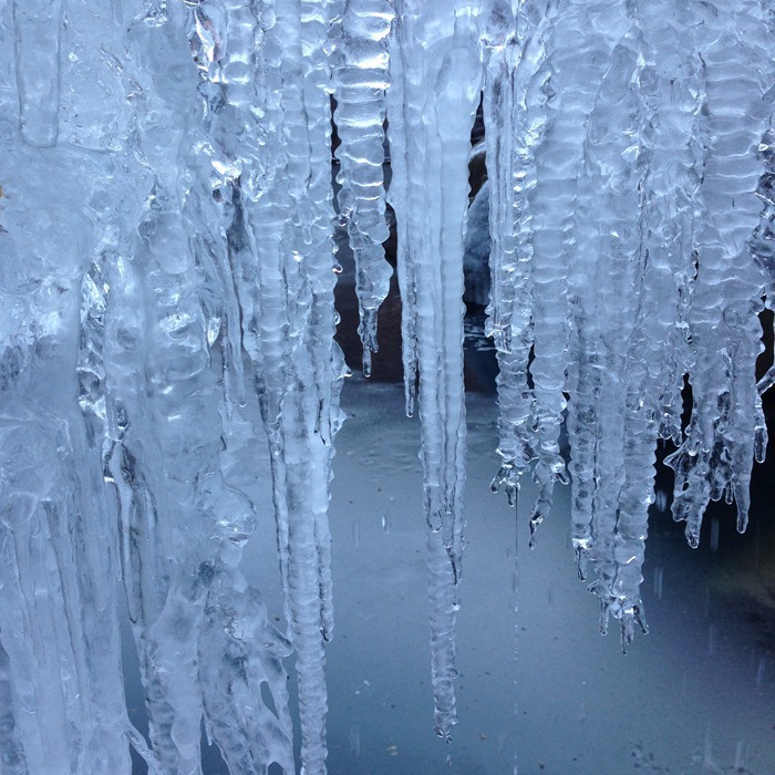因为有你，这个冬天不寂寞！