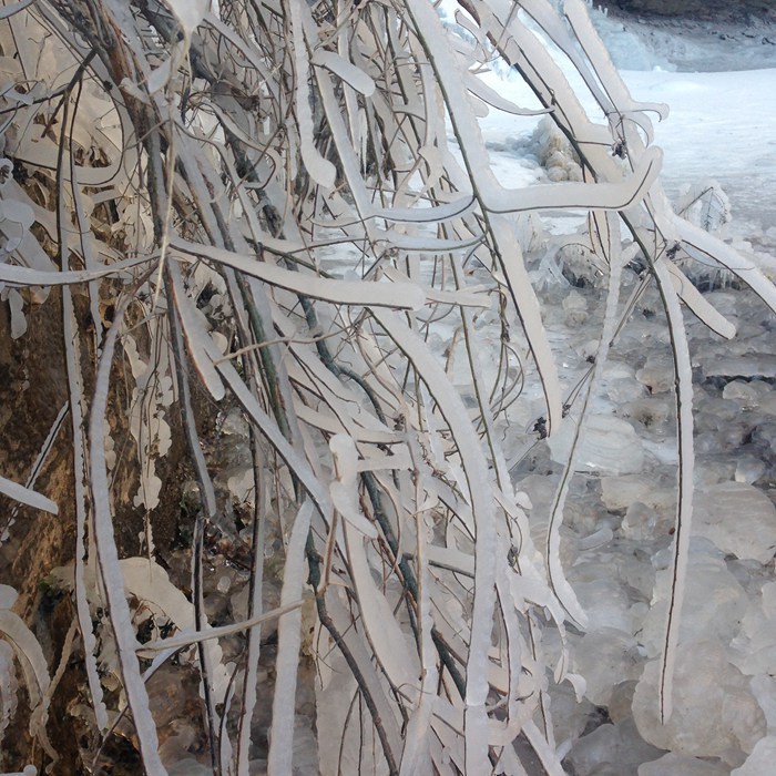 因为有你，这个冬天不寂寞！