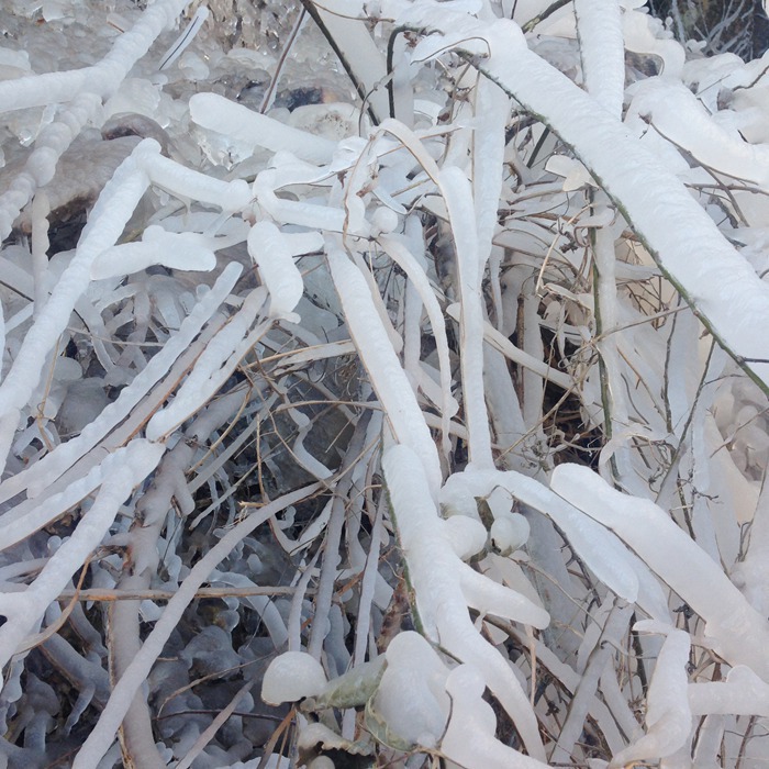 因为有你，这个冬天不寂寞！