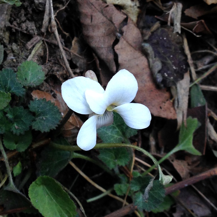 因为有你，这个冬天不寂寞！