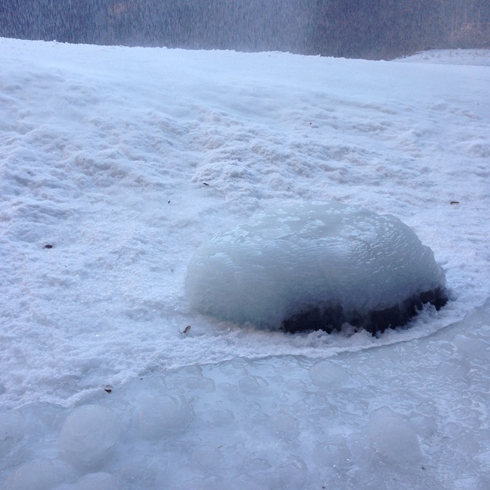 因为有你，这个冬天不寂寞！