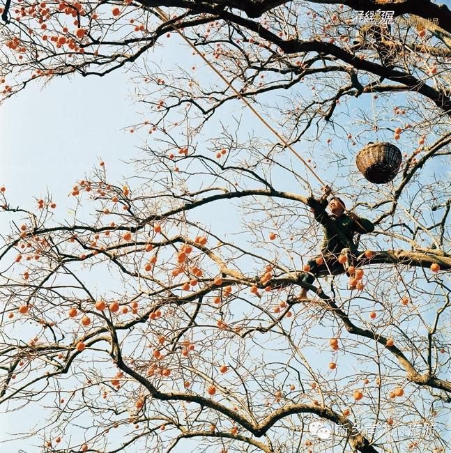 在那遥远的小山村