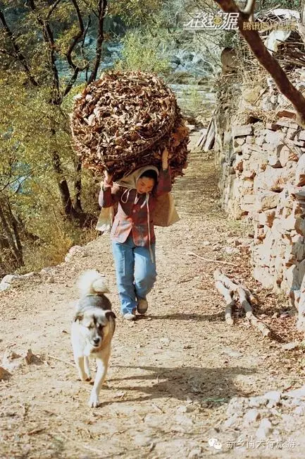 在那遥远的小山村