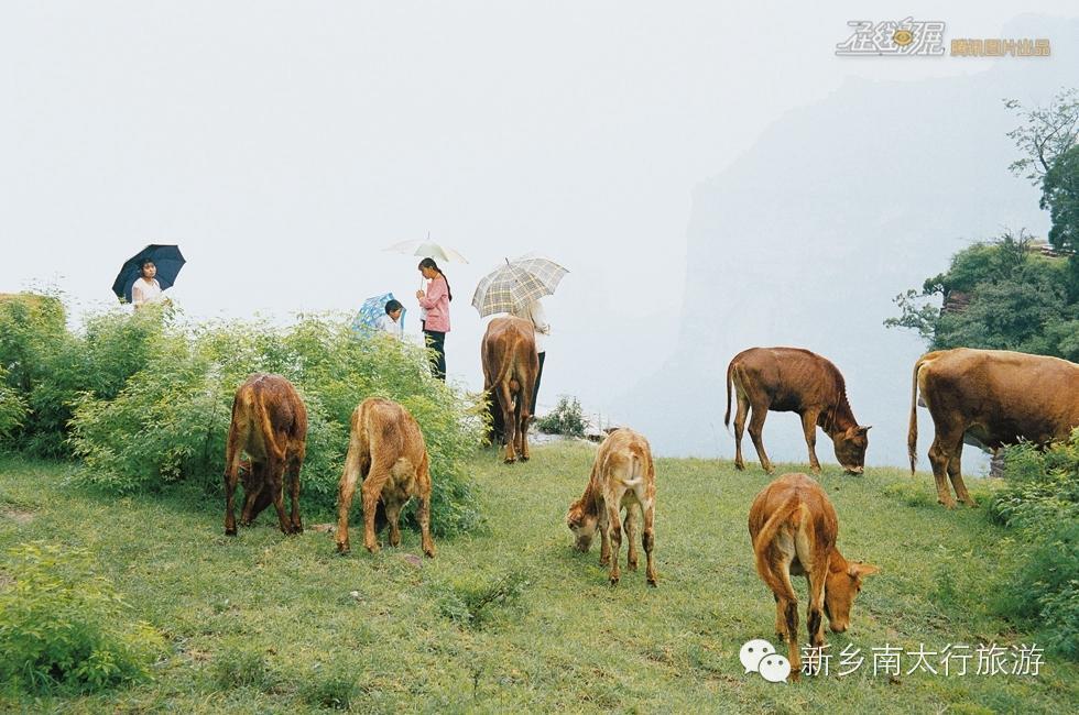 在那遥远的小山村
