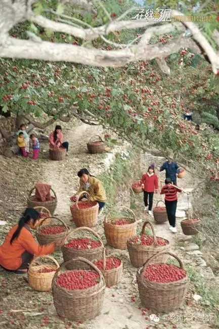 在那遥远的小山村