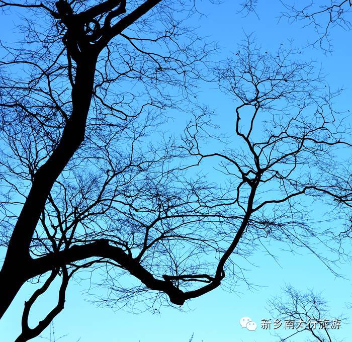 挡不住的韩团热潮