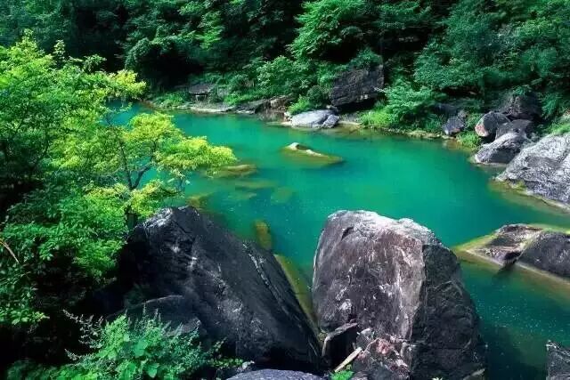 年卡在手，说走就走