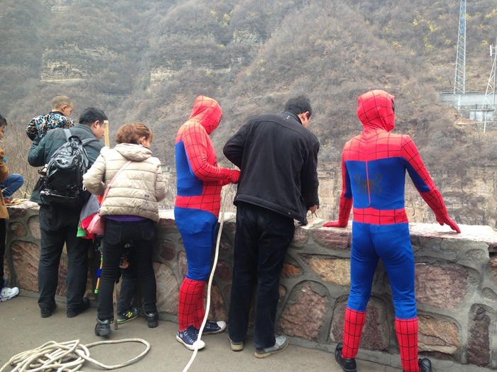 清明小长假 南太行“蜘蛛侠”惹人爱