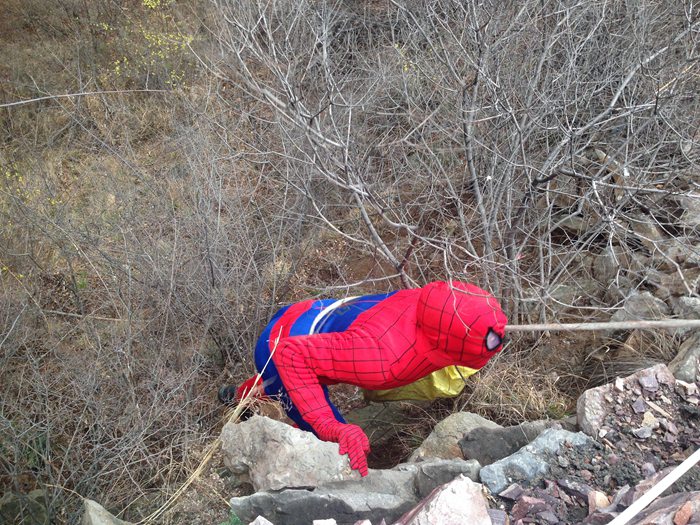 清明小长假 南太行“蜘蛛侠”惹人爱