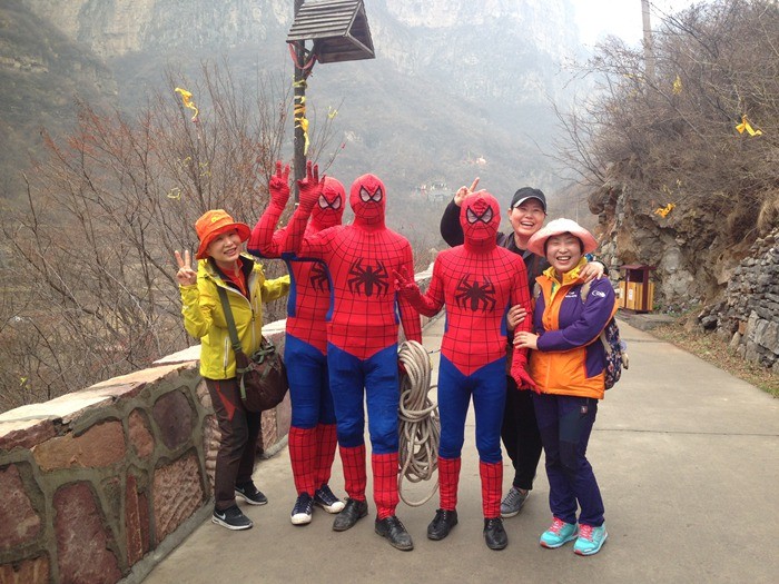 清明小长假 南太行“蜘蛛侠”惹人爱