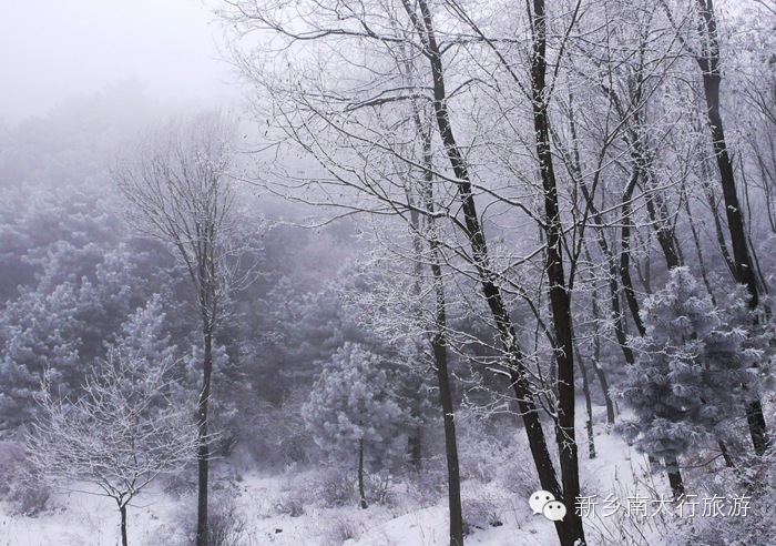 万仙山滑雪场即将闪亮登场