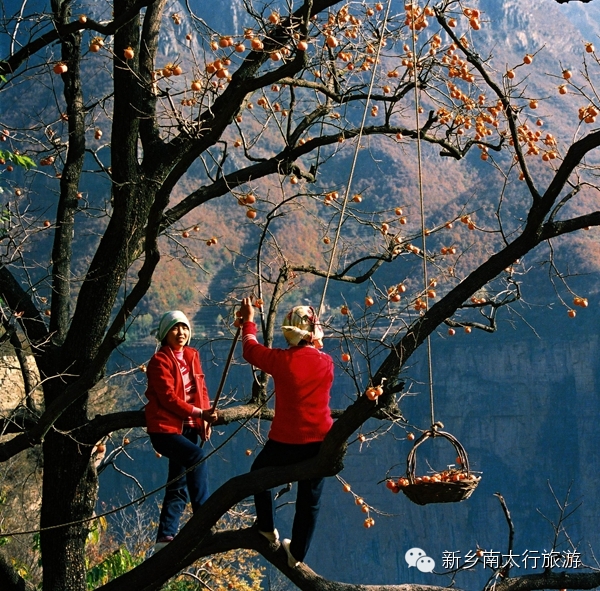 来南太行看的是什么？致很多并不了解南太行的人