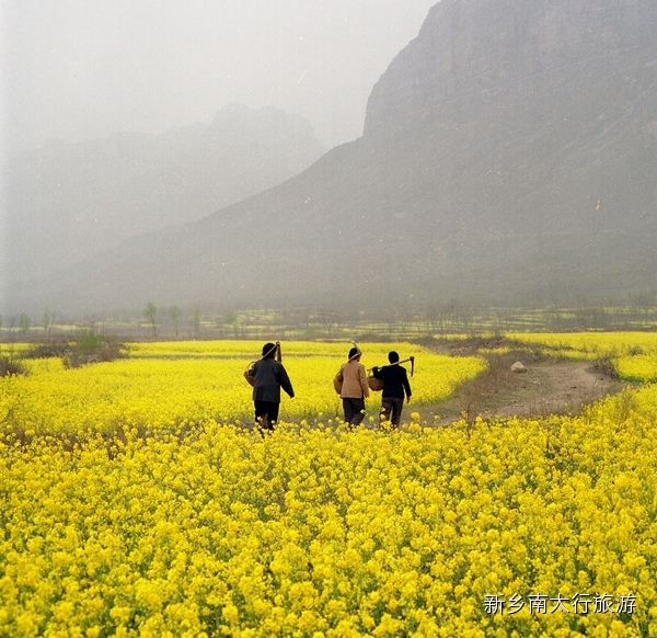 来南太行看的是什么？致很多并不了解南太行的人