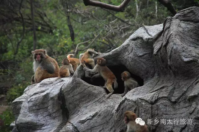 南太行春节旅游攻略