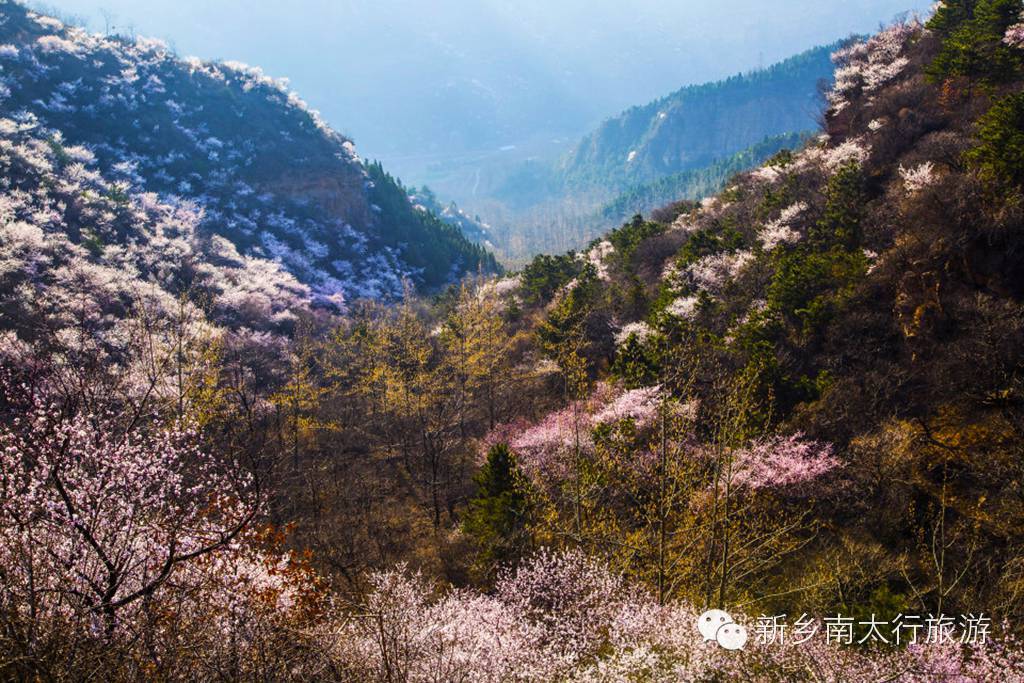 三八女神节，和闺蜜一起游山、玩水、赏花