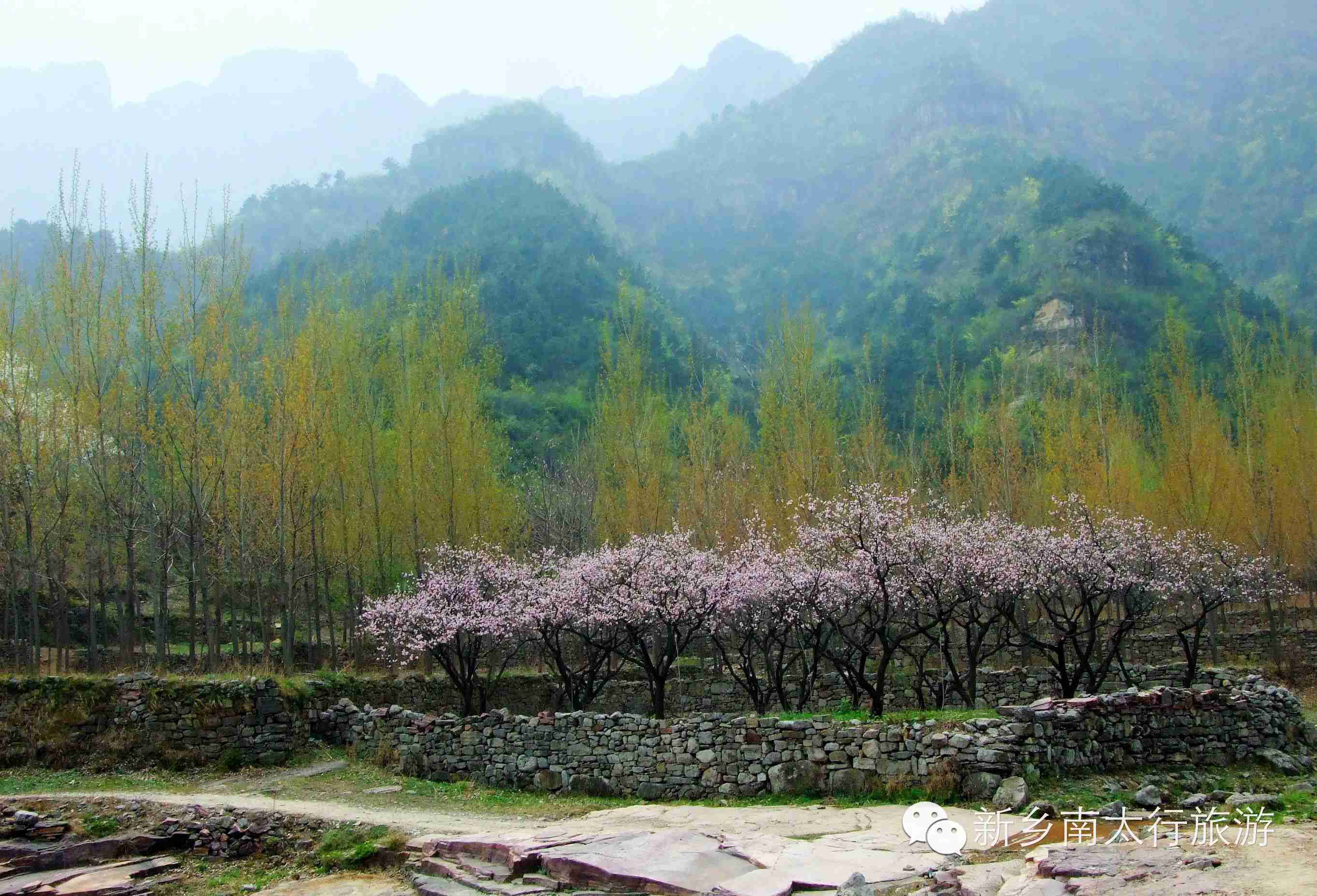 免！免！免！南太行又一波红包来袭！